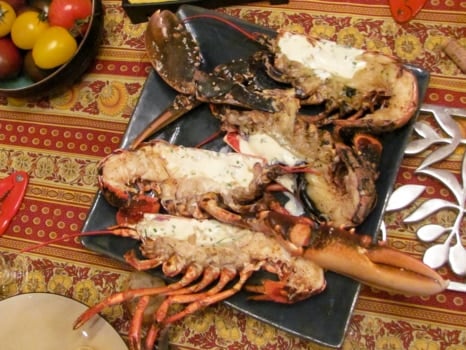 lobster-blog-2