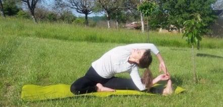 learn french yoga vocabulary postures