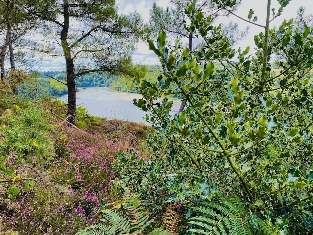 Famous French Poem Demain Dès L Aube By Victor Hugo