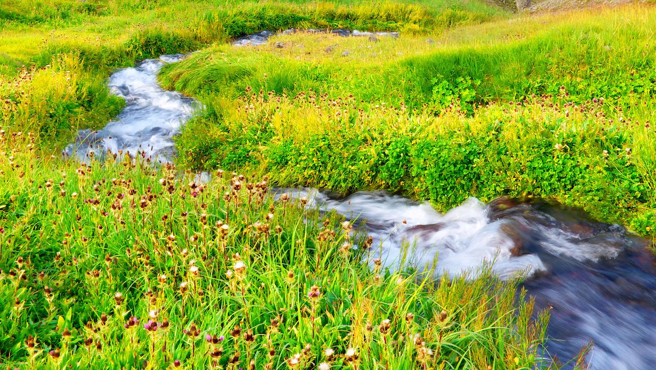 Le Temps a Laissé son Manteau de Charles d'Orléans french poem audio