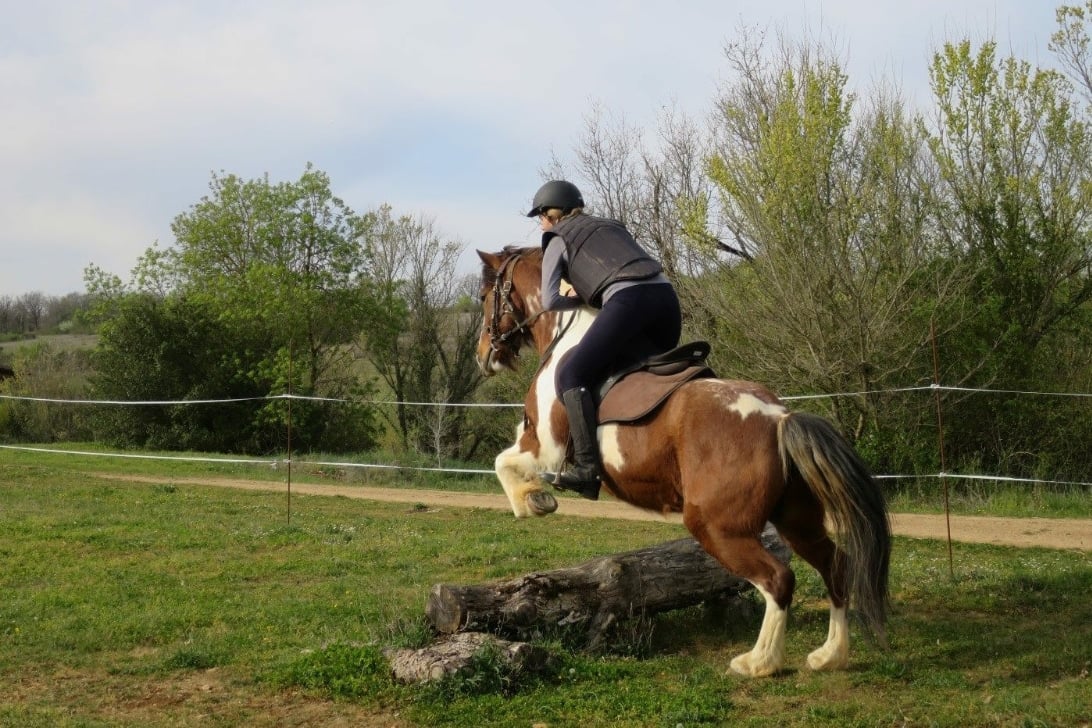 Trec Horseback riding france 1