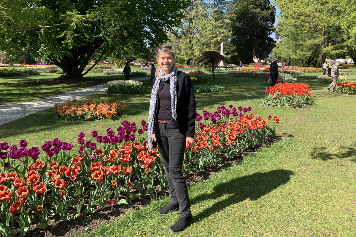 Tulips in Switzerland – French Story & Translation
