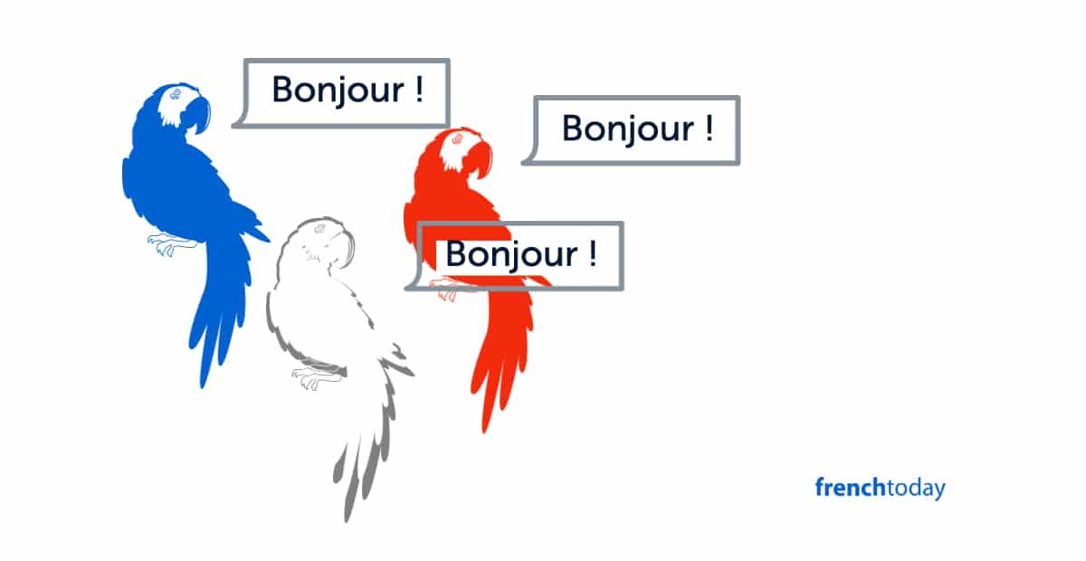Should You Learn French Like a Parrot?