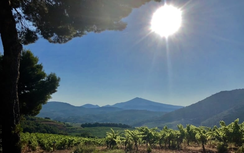 Sunny Provence France
