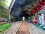 Graffiti-covered tunnel with railway tracks.