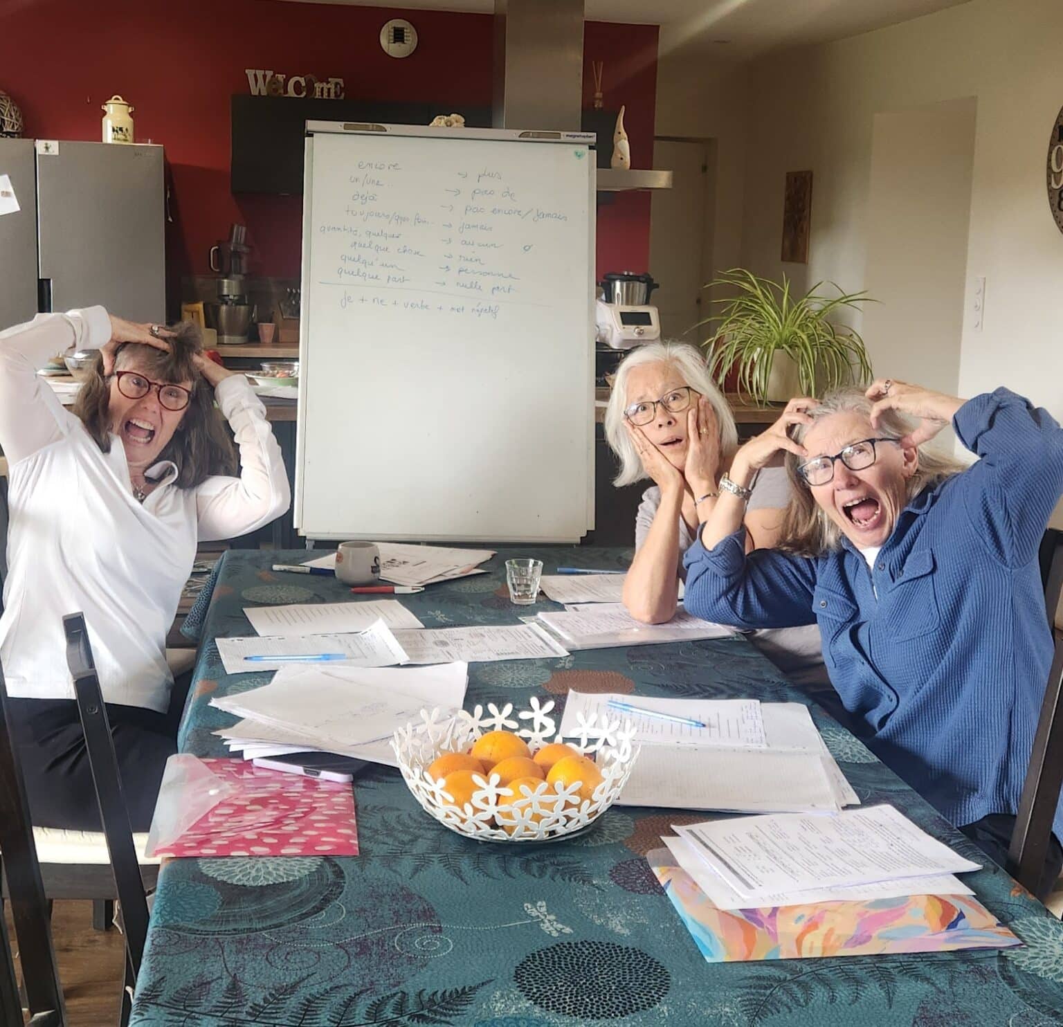 French Immersion Homestay At Teacher s Near Vannes Brittany