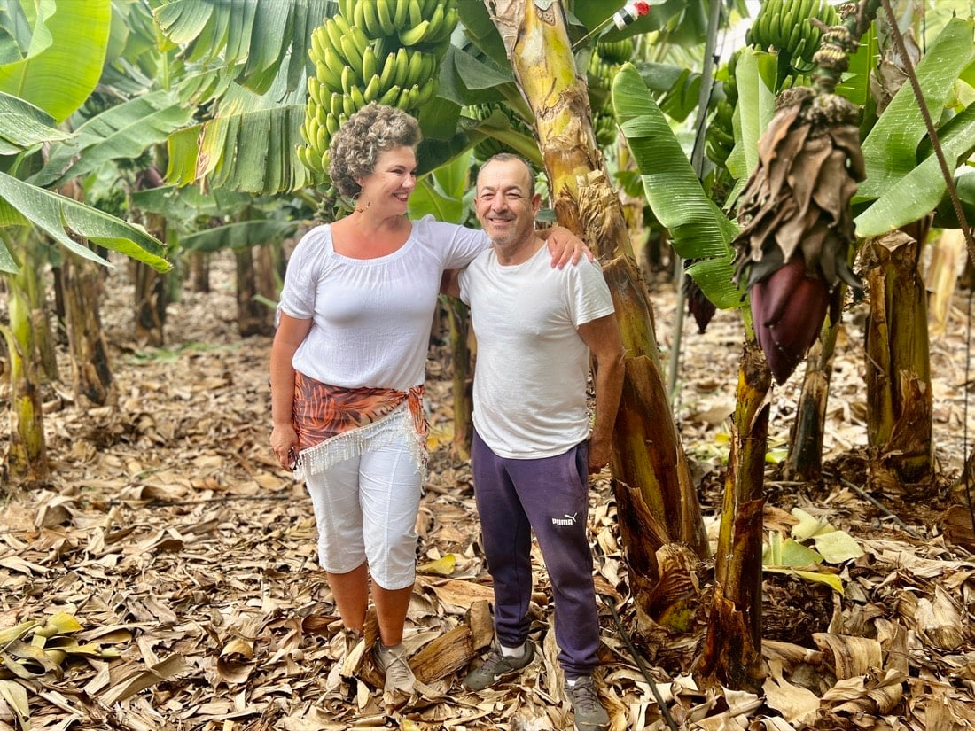 Une Rencontre Inattendue Dans Une Bananeraie De Tenerife