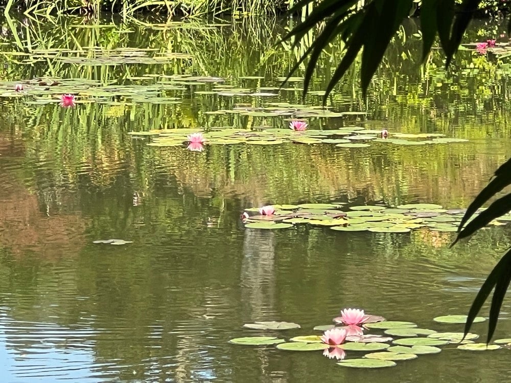 Les Jardins De Giverny, Un Chef‑d’œuvre Vivant
